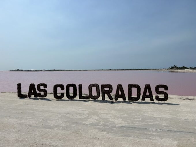 Las Coloradas: Pink Lakes Safari Tour - Important Information
