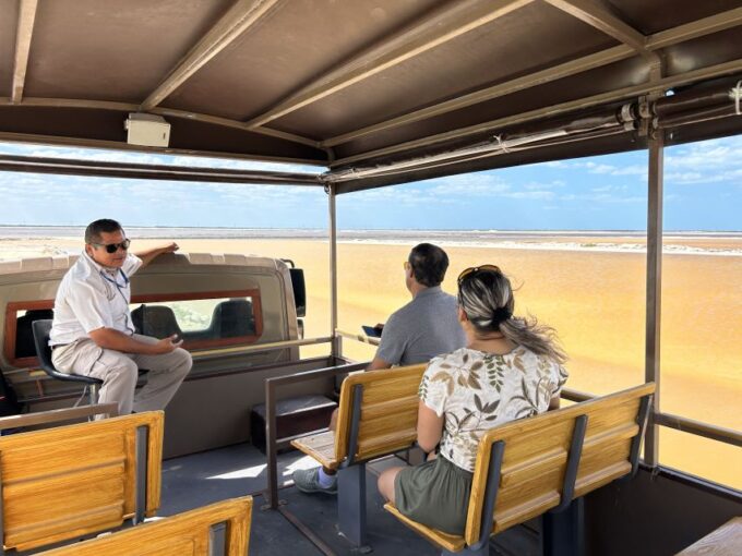 Las Coloradas: Pink Lakes Safari Tour - Frequently Asked Questions