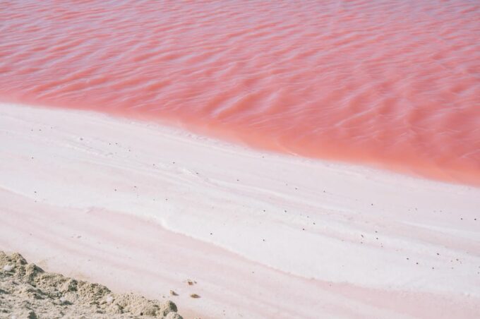 Las Coloradas - Exploring the Pink Lagoon