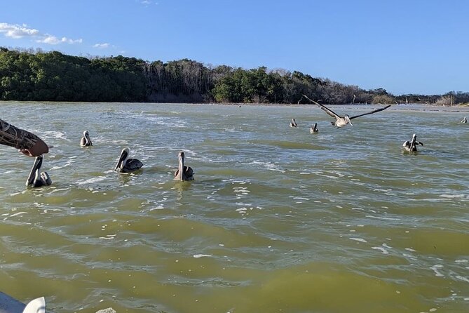 Las Coloradas Tour! Boat Ride, Lunch & Rio Lagartos From Cancun - Customer Feedback