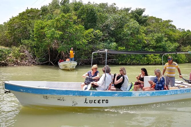 Las Coloradas Tour! Boat Ride, Lunch & Rio Lagartos From Cancun - Nature and Scenery