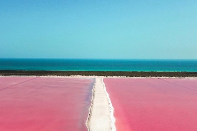 Las Coloradas Tour From Cancun and Playa Del Carmen - Inclusions and Logistics
