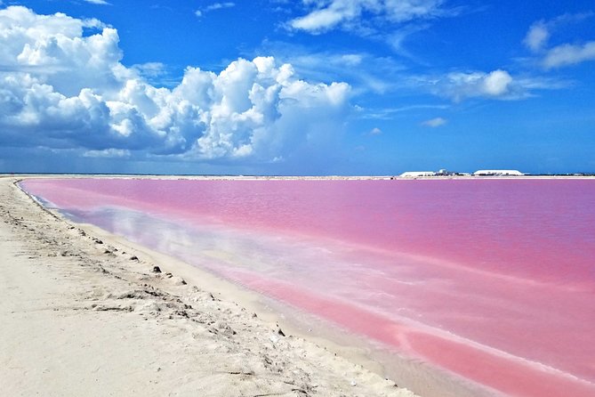 Las Coloradas Tour From Cancun and Playa Del Carmen - Booking and Logistics