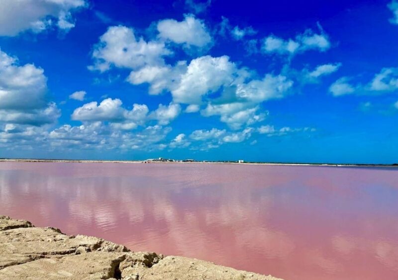 Las Coloradas: Tour to the Pink Salt Lake and Rio Lagartos - Discovering the Pink Salt Lake