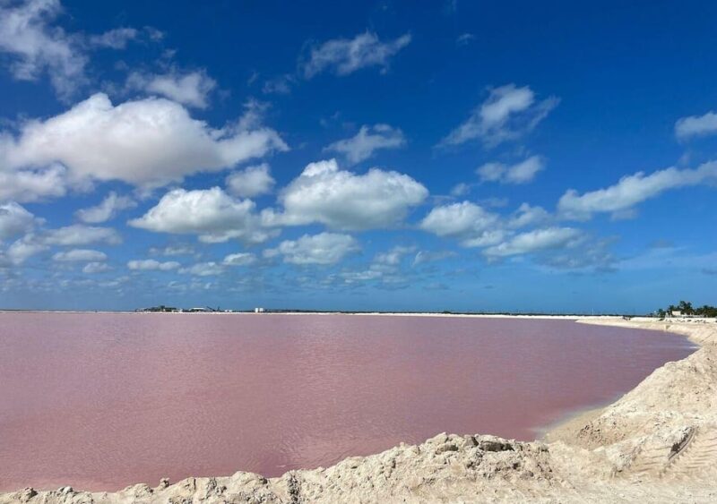 Las Coloradas: Tour to the Pink Salt Lake and Rio Lagartos - Delightful Lunch Experience