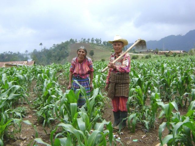 Las Cruces to Panajachel, Half-Day Bike Tour - Inclusions