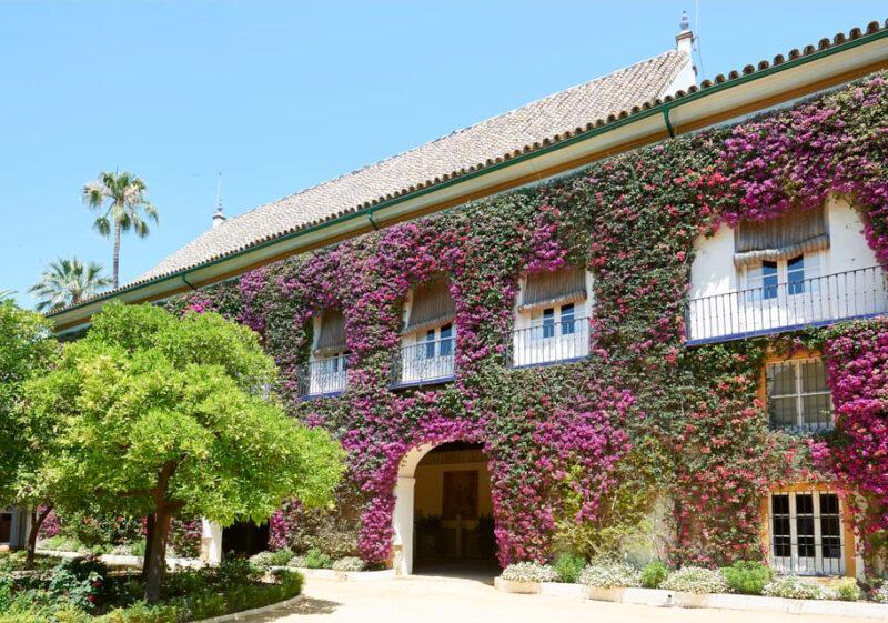 Las Dueñas Palace Entry Ticket and Audio Guide - Accessibility