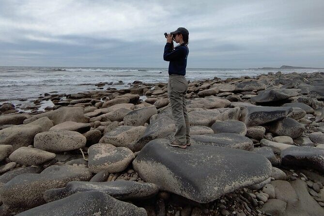 Las Labradas Archaeological Site - Nature and History Tour - The Sum Up