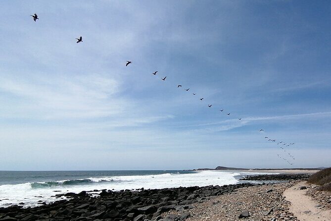 Las Labradas Archaeological Site - Nature and History Tour - FAQ