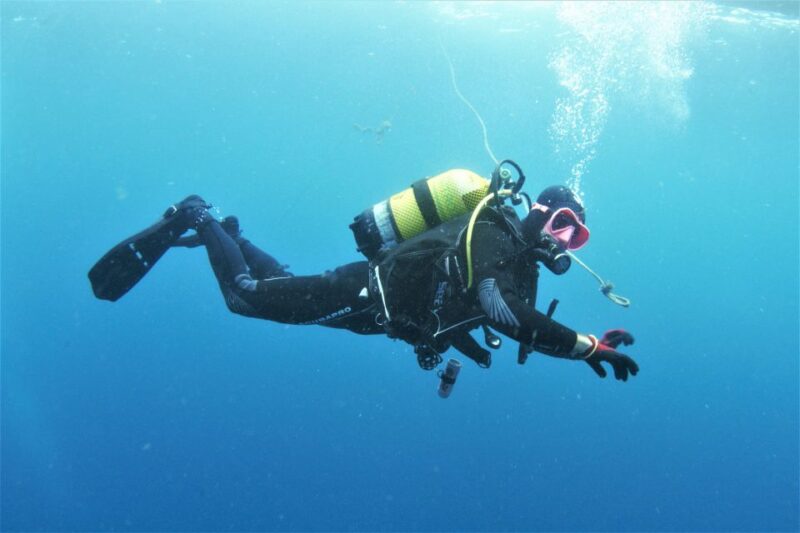 Las Palmas: 2-Day Padi Scuba Diving Course - Key Points