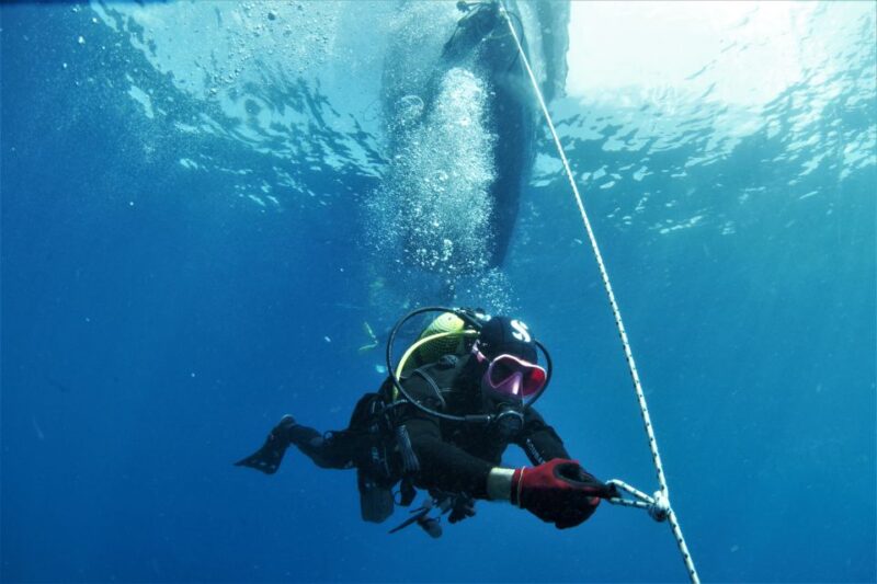 Las Palmas: 2-Day Padi Scuba Diving Course - Open-Water Dives in the Ocean