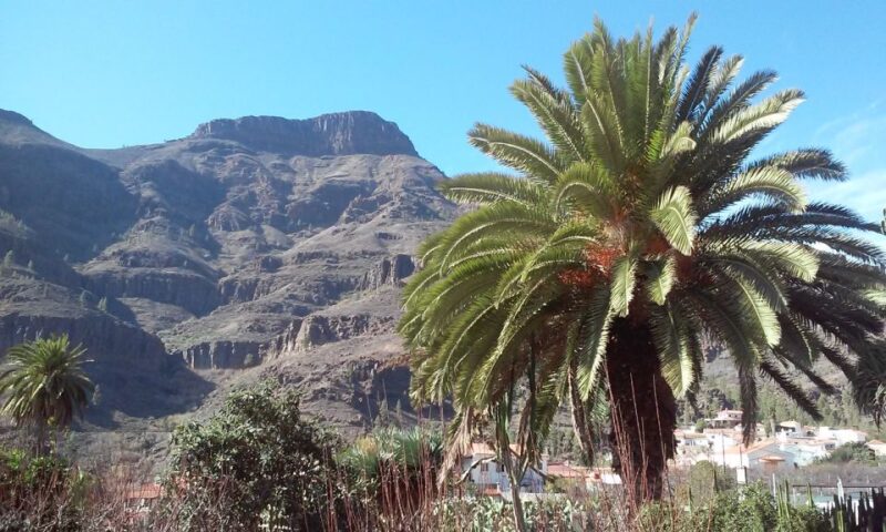 Las Palmas: 8-Hour Gran Canaria Island Highlights Tour - Transportation and Guidance