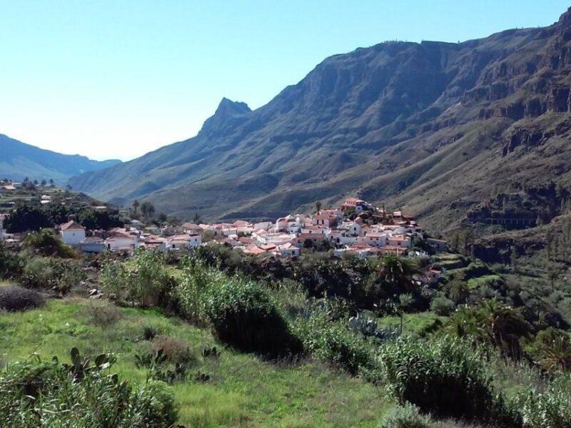Las Palmas: 8-Hour Gran Canaria Island Highlights Tour - Not Suitable For