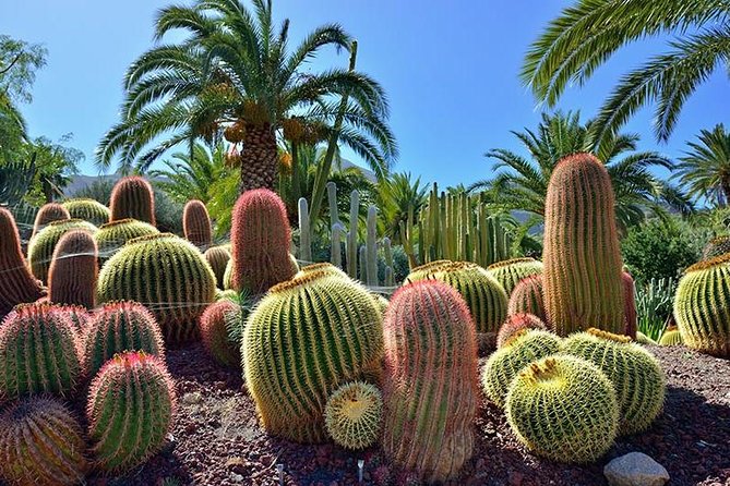 Las Palmas, Botanical Garden & Bandama Crater Tour - Gran Canaria - Outdoor Exploration With Guide