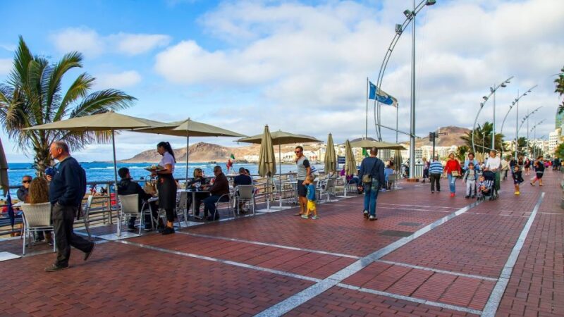 Las Palmas, Botanical Gardens and Bandama Volcano Tour - Itinerary Highlights
