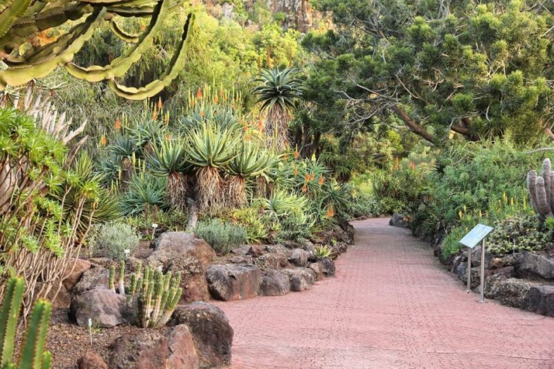 Las Palmas, Botanical Gardens and Bandama Volcano Tour - Botanical Gardens