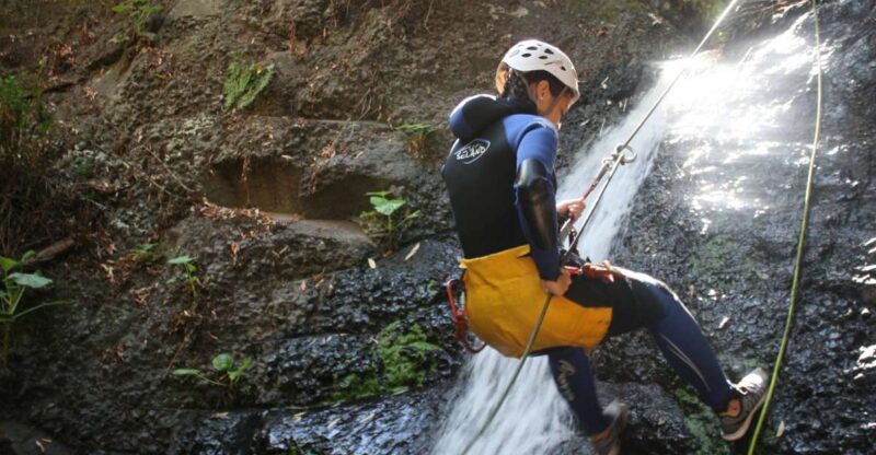Las Palmas, Gran Canaria: Canyoning Adventure - Exploring Los Marteles Reserve
