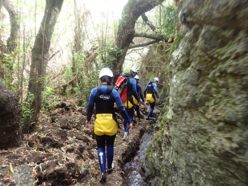 Las Palmas, Gran Canaria: Canyoning Adventure - Hiking Through Jungle