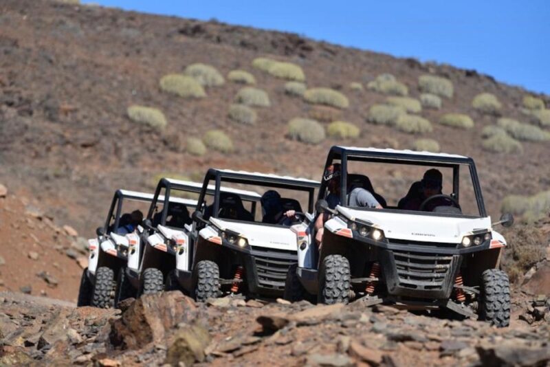 Las Palmas: Gran Canaria Guided Buggy Tour - Panoramic Views From the Mountains