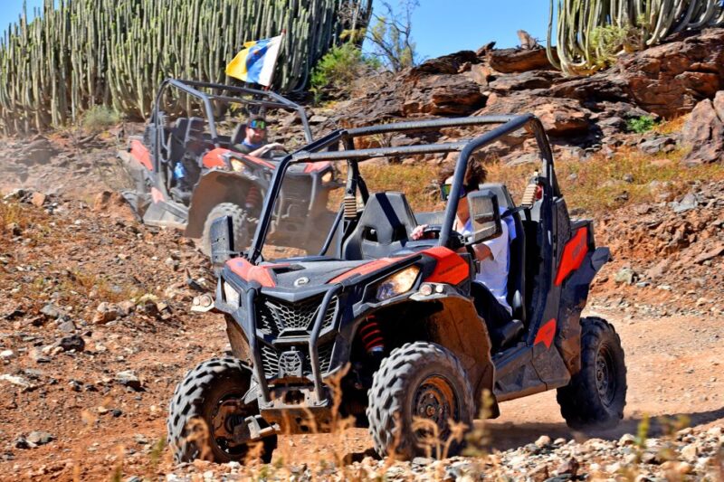 Las Palmas: Gran Canaria Guided Buggy Tour - Live Tour Guide Services
