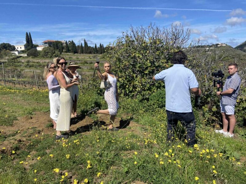 Las Palmas: Gran Canaria's Best Wineries and Views Tour - Pickup and Drop-off Locations