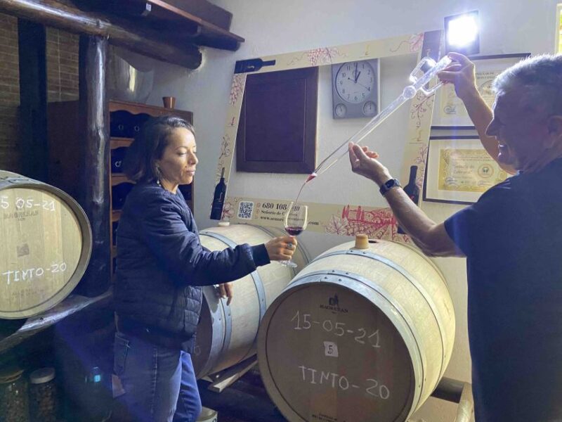 Las Palmas: Gran Canaria's Best Wineries and Views Tour - Winery Visit and Tasting