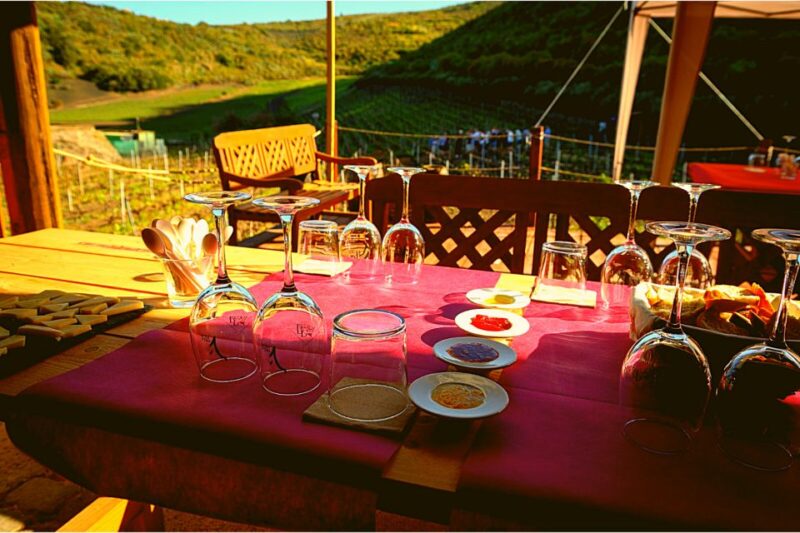 Las Palmas: Gran Canaria's Best Wineries and Views Tour - Inclusions and Exclusions