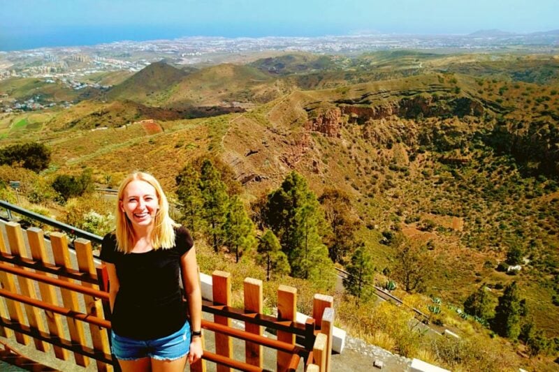 Las Palmas: Gran Canaria's Best Wineries and Views Tour - Accessibility and Recommendations