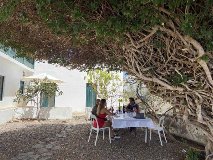 Las Palmas: Gran Canaria's Best Wineries and Views Tour - Frequently Asked Questions