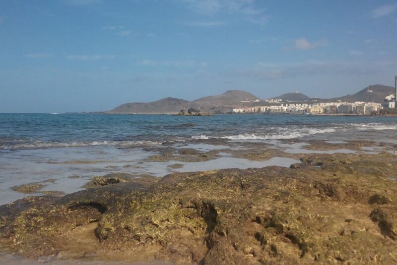Las Palmas: Las Canteras Beach Snorkeling Trip - Highlights of the Experience