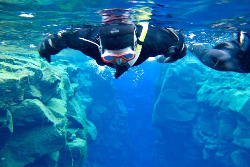 Las Palmas: Las Canteras Beach Snorkeling Trip - Cancellation and Availability