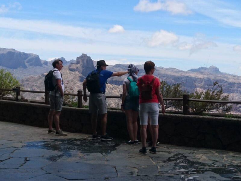 Las Palmas: Maspalomas to the Tejeda Mountains Grand Tour - Tour Features and Inclusions