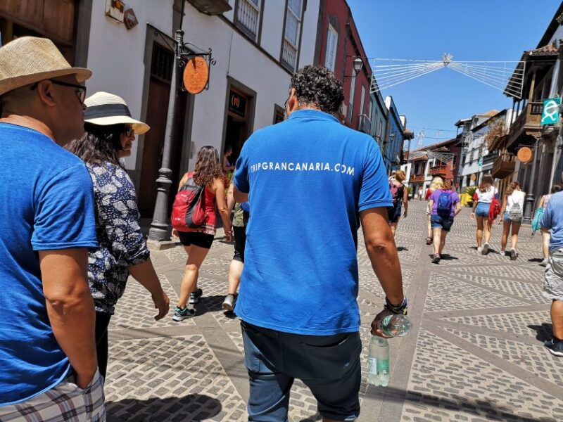 Las Palmas: Maspalomas to the Tejeda Mountains Grand Tour - Group Size and Suitability