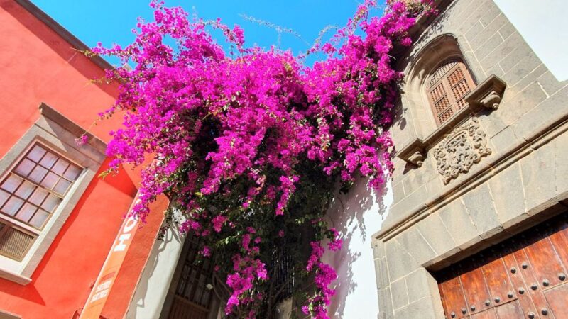 Las Palmas: Old Town Highlights Self-Guided Walking Tour - Activity Highlights