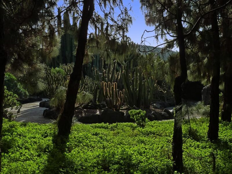 Las Palmas: Privat Botanic Garden Tour & Opt. Hike Extension - Additional Activities and Options