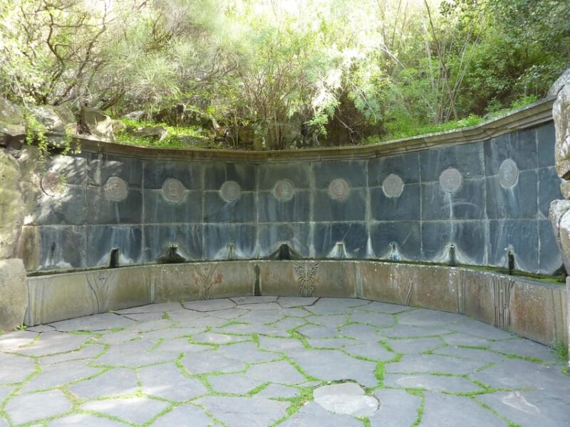 Las Palmas: Privat Botanic Garden Tour & Opt. Hike Extension - Scenic Wildlife Mountain Hiking
