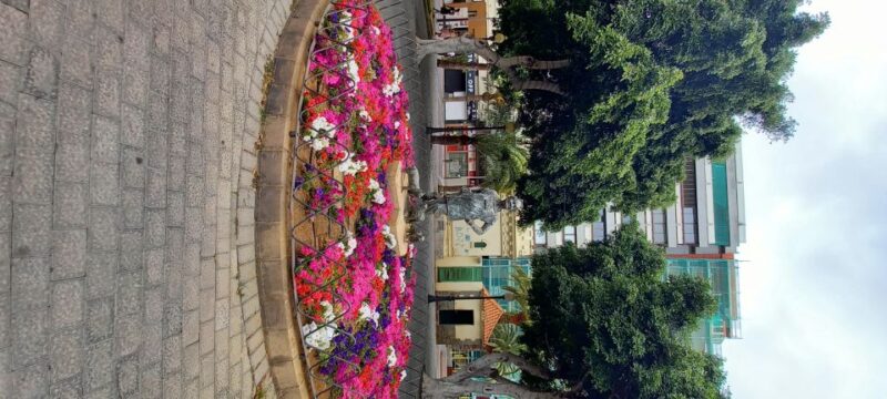 Las Palmas: Private City Highlights & Northern Villages Tour - Inclusions