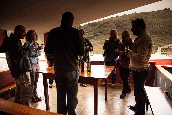 Las Palmas Shore Excursion: Private Volcanic Caldera, Teror Village and Wine-Tasting Tour - Tour Overview