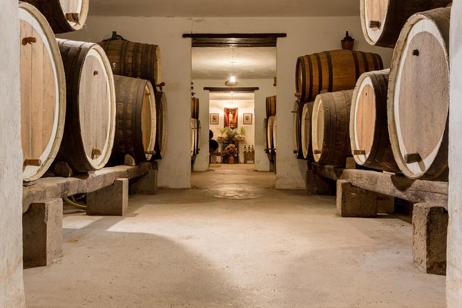Las Palmas Shore Excursion: Private Volcanic Caldera, Teror Village and Wine-Tasting Tour - Bandama Caldera Experience
