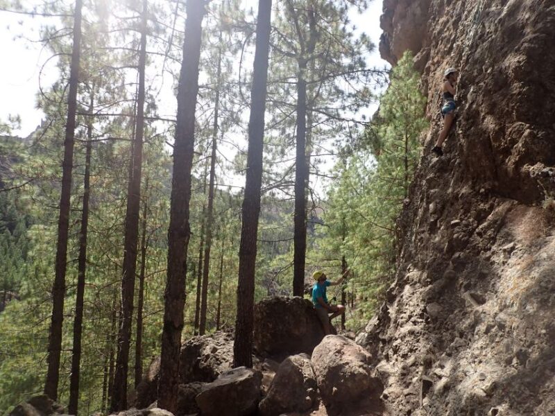 Las Palmas: Sunset Mountain Climbing Trip Near Roque Nublo - Inclusions and What to Expect