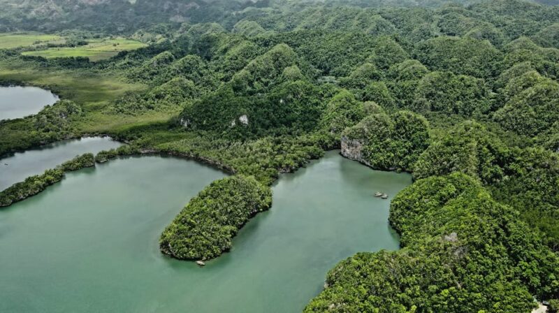 Las Terrenas: Just Los Haitises Boat and Walking Tour - Itinerary and Experience Highlights