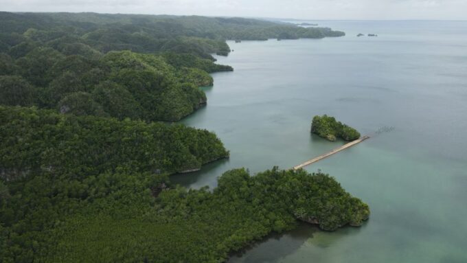 Las Terrenas: Los Haitises Boat and Walking Tour With Lunch - Recommendations