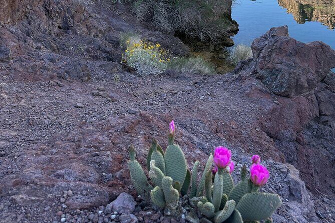 Las Vegas: Arizona Hot Springs Hike with Certified Hiking Guide - Practical Considerations for Your Trip