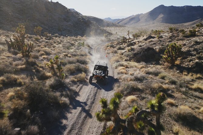 Las Vegas ATV Tour 2 or 4 Seater With FREE Transfer Included - Participant Requirements