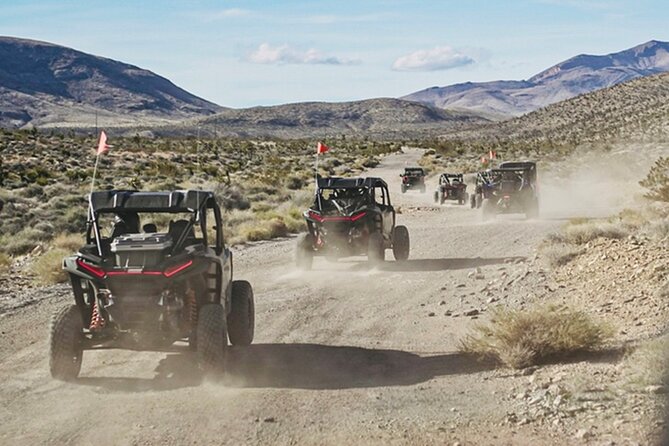Las Vegas ATV Tour 2 or 4 Seater With FREE Transfer Included - Cancellation and Confirmation