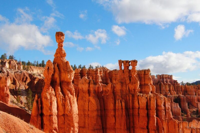 Las Vegas: Bryce and Zion National Parks Tour With Lunch - Itinerary Highlights