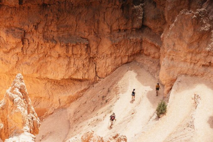 Las Vegas: Bryce and Zion National Parks Tour With Lunch - Return to Treasure Island