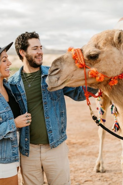 Las Vegas: Camel Safari Zoo Safari Tram Tour - Recommended Items