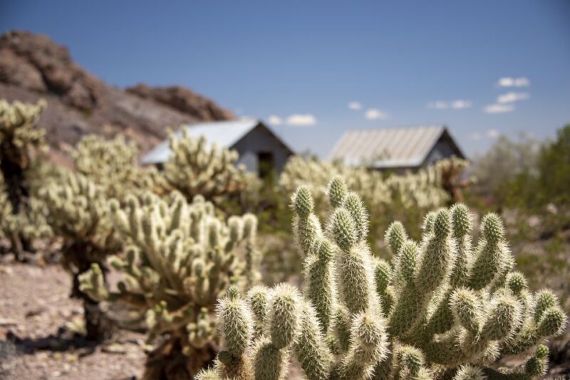 Las Vegas: Eldorado Canyon Gold Mine Tour - Price and Duration