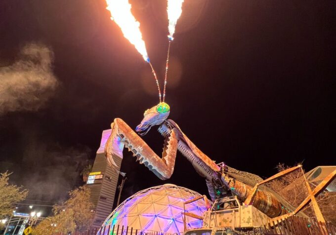 Las Vegas: Fremont Experience Guided Walking Tour & Drinks - Pricing and Duration
